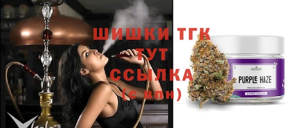 мяу мяу кристалл Богданович