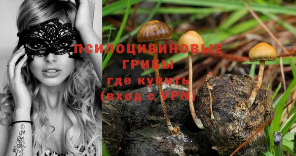 дурь Бугульма