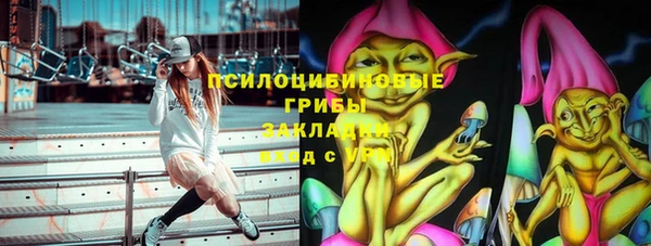 мяу мяу мука Бородино