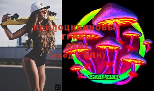 ПСИЛОЦИБИНОВЫЕ ГРИБЫ Бронницы