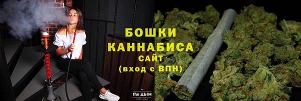 ПСИЛОЦИБИНОВЫЕ ГРИБЫ Бронницы