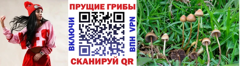 Псилоцибиновые грибы MAGIC MUSHROOMS Козьмодемьянск