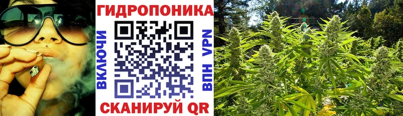 Конопля индика Козьмодемьянск